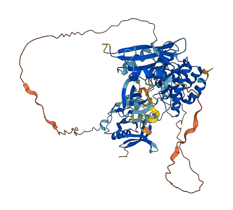 BMX 3D structure