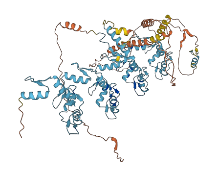 ZNF41 3D structure