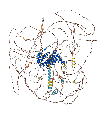 AFF2 3D structure