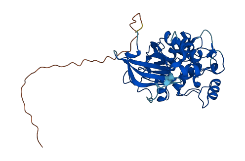 PRKX 3D structure