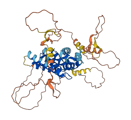 NR0B1 3D structure