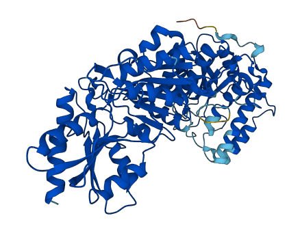 TKTL1 3D structure