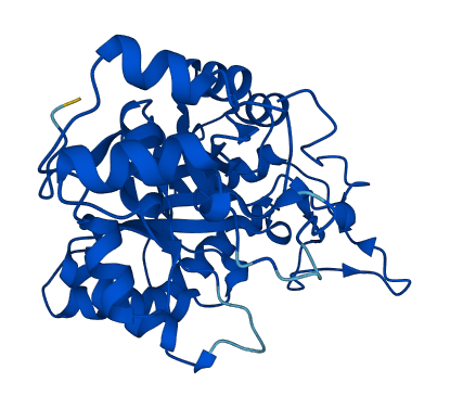 AKR1D1 3D structure