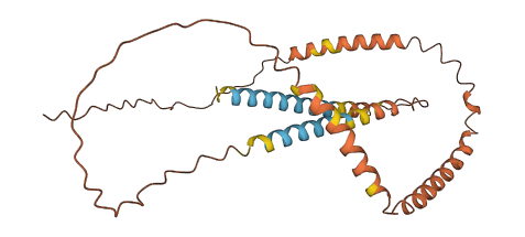 CDR1 3D structure