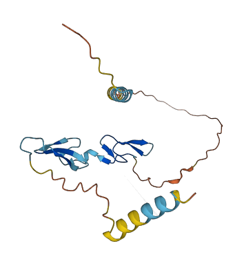 TDGF1P3 3D structure