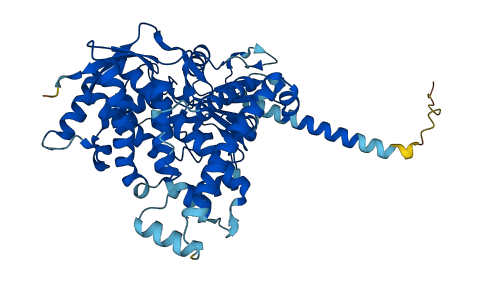 Cyp4f4 3D structure