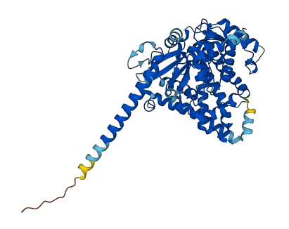 Cyp4f5 3D structure