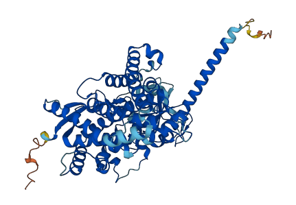 Cyp4f6 3D structure