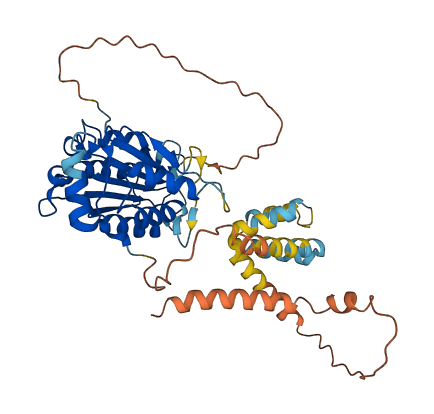 CASP5 3D structure