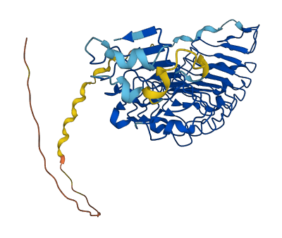 PRELP 3D structure