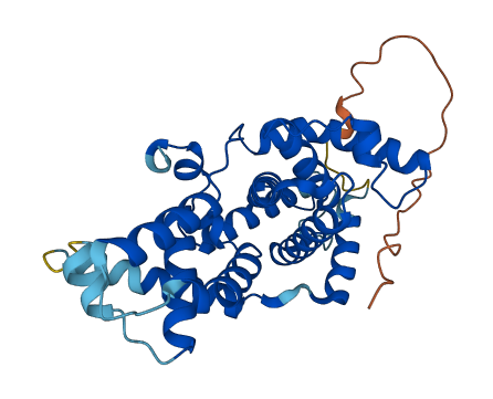 CCNH 3D structure