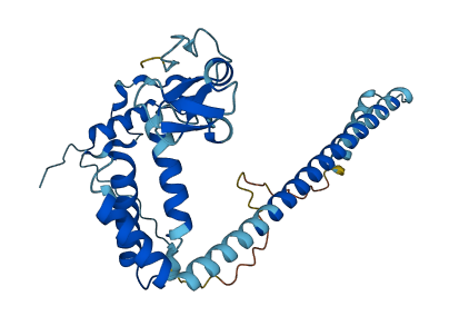 MNAT1 3D structure