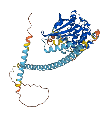 NEK2 3D structure