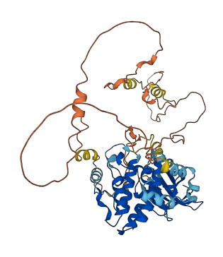 NEK3 3D structure