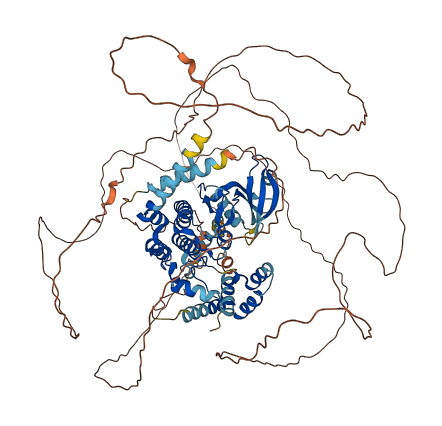 NEK4 3D structure