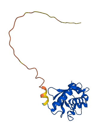 UBE2E1 3D structure
