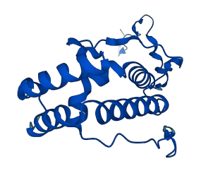 NDUFA8 3D structure