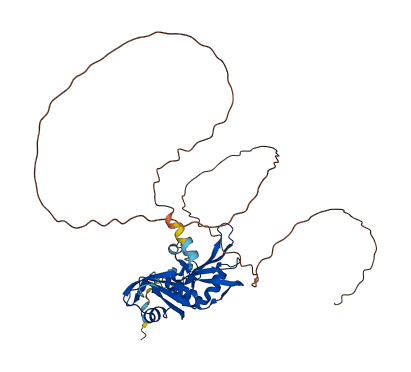 HNRNPA3 3D structure