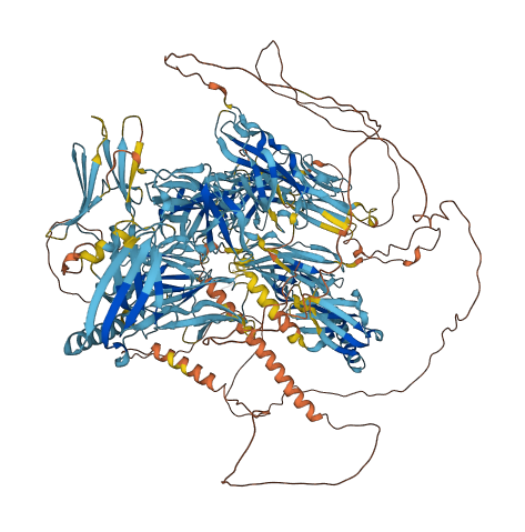MYOM1 3D structure