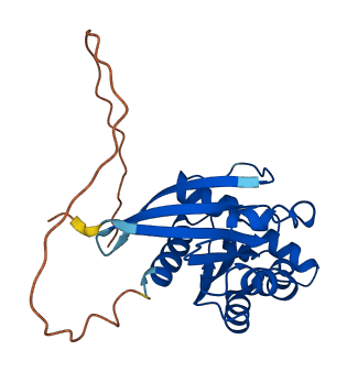 RND2 3D structure