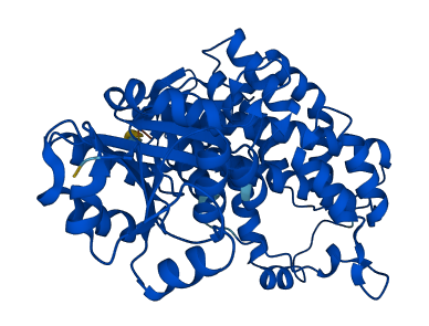 PGD 3D structure