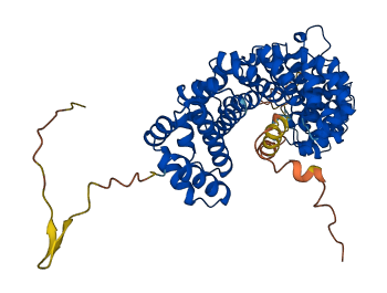KPNA2 3D structure