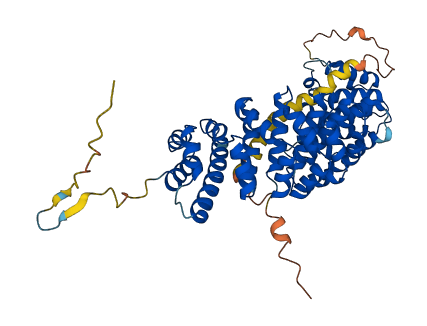 KPNA1 3D structure
