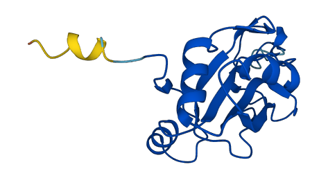 NCBP2 3D structure