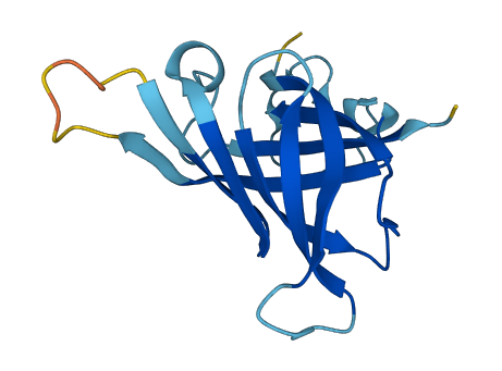 POLR2H 3D structure