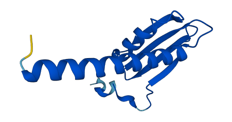 POLR2J 3D structure
