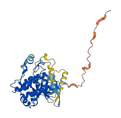 MAP2K6 3D structure