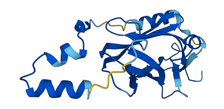 ARHGDIA 3D structure