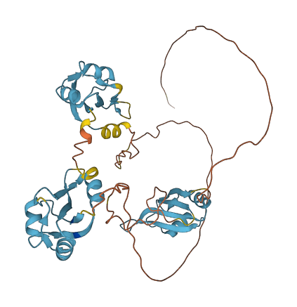 HNRNPF 3D structure