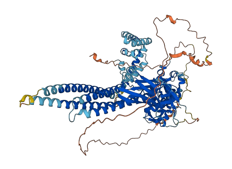 STAT2 3D structure