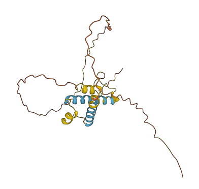 Rhox5 3D structure