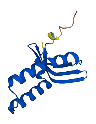 GTF2A2 3D structure
