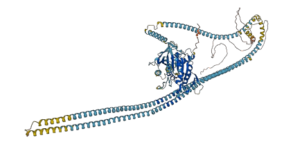 KIF11 3D structure