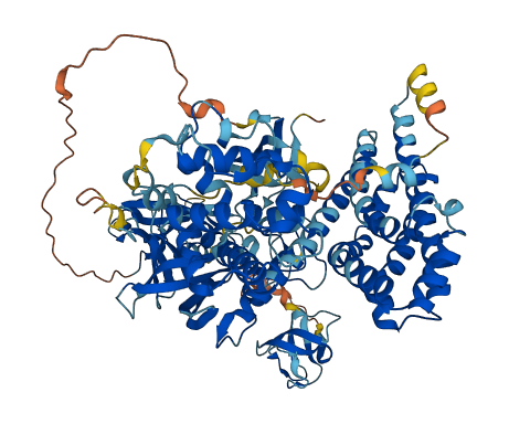 VAV2 3D structure