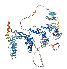 ZNF133 3D structure