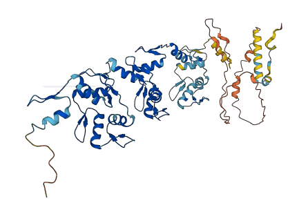 ZNF136 3D structure