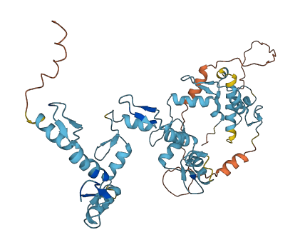 ZNF140 3D structure