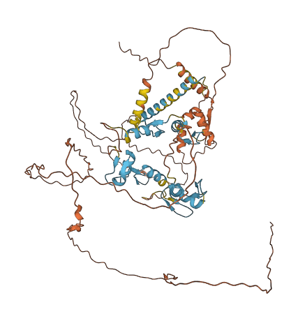 ZNF131 3D structure