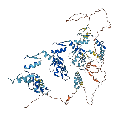ZNF132 3D structure