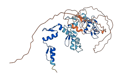 ZNF134 3D structure