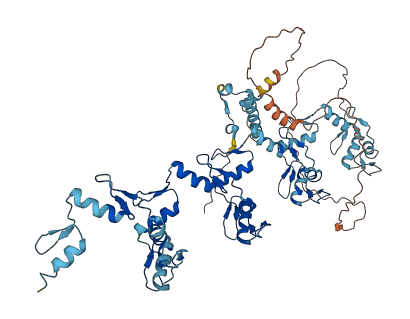 ZNF135 3D structure