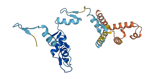 ZNF138 3D structure