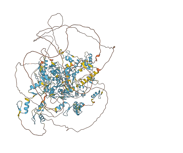 ZNF142 3D structure