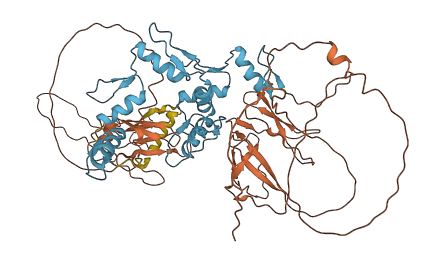 ZNF143 3D structure