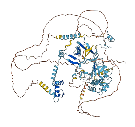 RBM5 3D structure