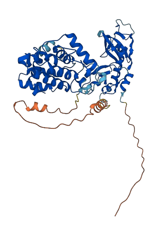 CHN2 3D structure